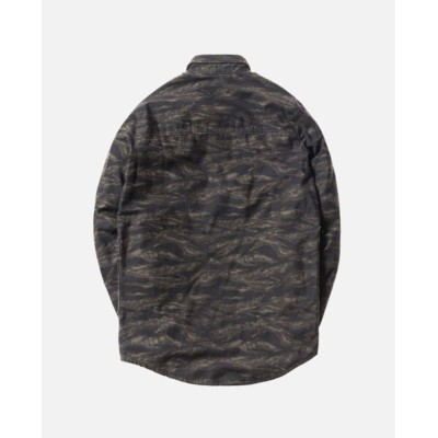 گرافیک وکتور - خرس قهوه ای