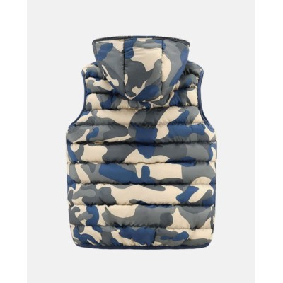 کوسن زرین بال